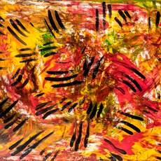 Afrika  - 07.07.2014